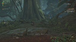 《怪物獵人 荒野》全簡易營地位置一覽（共45個）