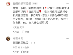 没想到还有野乙这个门类！《以闪亮之名》还是过于伟大了