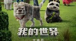 《我的世界大電影》清明檔票房冠軍，好萊塢頂級視效合家歡首選