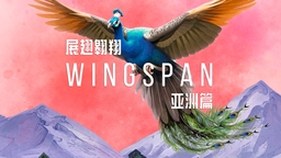 好評電子桌游新擴展《展翅翱翔：亞洲篇》定檔6月16日發售