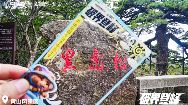破界黄山之巅!2025英雄联盟手游嘉年华圆满落幕