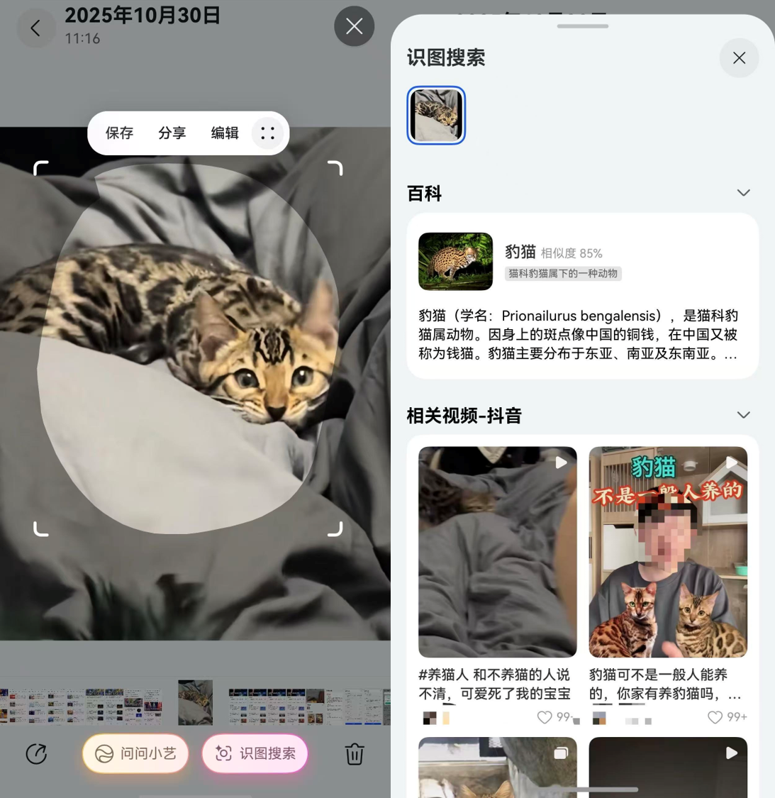 1764234324602335.png 隔空抓取、一碰即传、小艺识图搜索:鸿蒙版抖音全新上线30多项功能,为华为Mate双旗舰带来创新体验