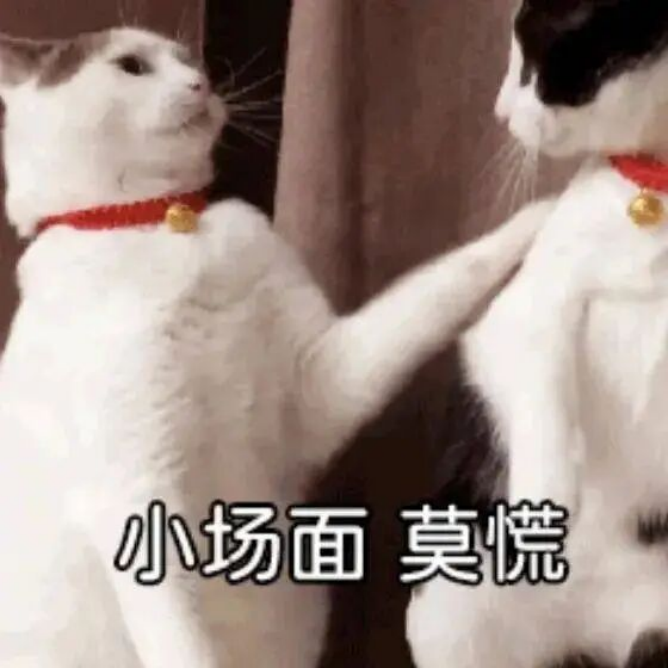 1764252607657248.png 第五代骁龙8如何凭借全自研内核成就全能旗舰