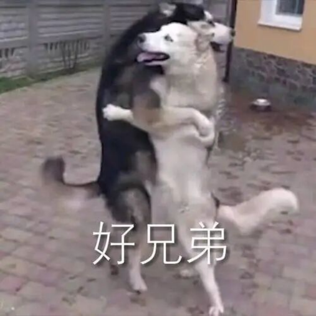 1764252745419245.png 第五代骁龙8如何凭借全自研内核成就全能旗舰