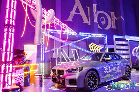 2025年永恒之塔APL全国锦标赛巅峰对决,圆满落幕!