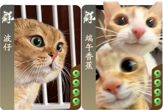 《三国杀：一将成名》周年庆明日开启，全新模式、多重福利等你来战！