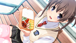 系列合集《告别回忆 历代回忆录》登陆Steam 支持简体中文