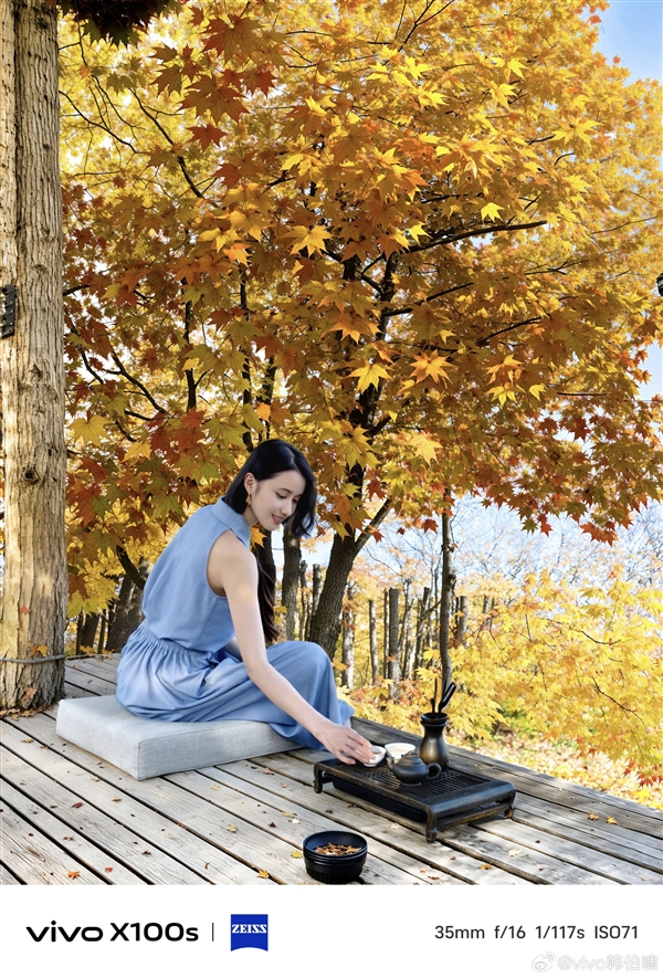 蓝厂最强直屏旗舰!vivo X100s首发四季人像功能