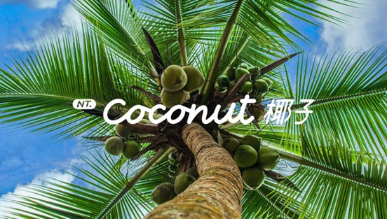 NT.Coconut 椰子 乐道智能系统正式发布