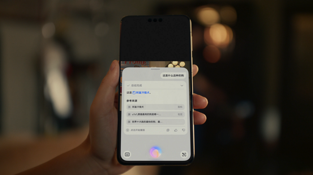 1733385146865670.png image2.png