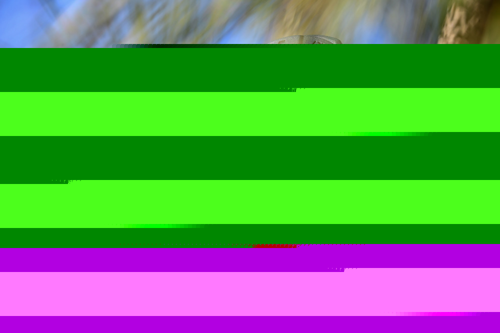 佳明本能Instinct 3 Solar，都市潮流户外玩家的不二之选