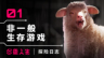 独一无二的探险任务—— 《多重人生：探险日志》登场
