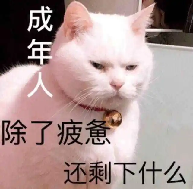 谁说MMORPG是老登游戏，问过“油腻的师姐”吗？