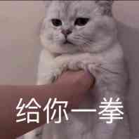 谁说MMORPG是老登游戏，问过“油腻的师姐”吗？