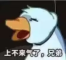 谁说MMORPG是老登游戏，问过“油腻的师姐”吗？