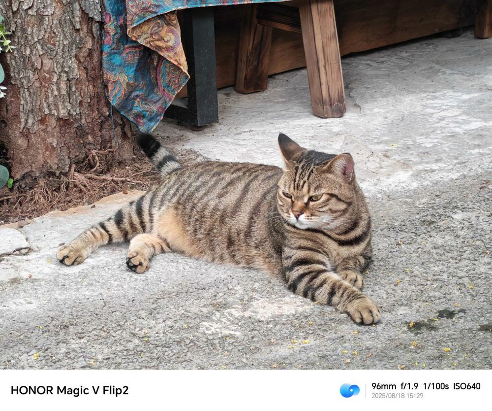 高定设计，折叠美学：荣耀Magic V Flip2