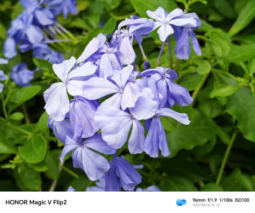 高定设计，折叠美学：荣耀Magic V Flip2