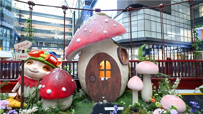 春城绽放玫瑰！英雄联盟手游女子SOLO赛圆满