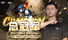 SCS 2025年度总决赛圆满落幕!M’、XiaoHai分获《拳皇15》《饿狼传说：群狼之城》总冠军