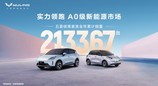 缤果家族2025全年热销213367辆，为用户提供缤纷代步新选择