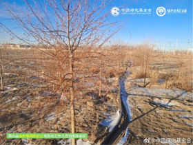 社会责任报告：公益数量增11.1%，游戏企业公益履责朝3个方向优化