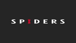 《贪婪之秋》《钢之崛起》开发商 Spiders 工作室宣布倒闭