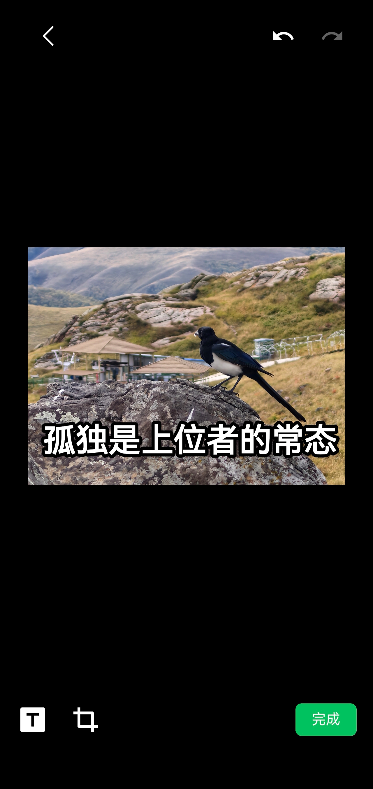 1781700484162232.jpg 3.jpg
