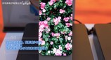 OPPO Find X10系列 护眼屏效果怎么样 全天候观看舒适度解析